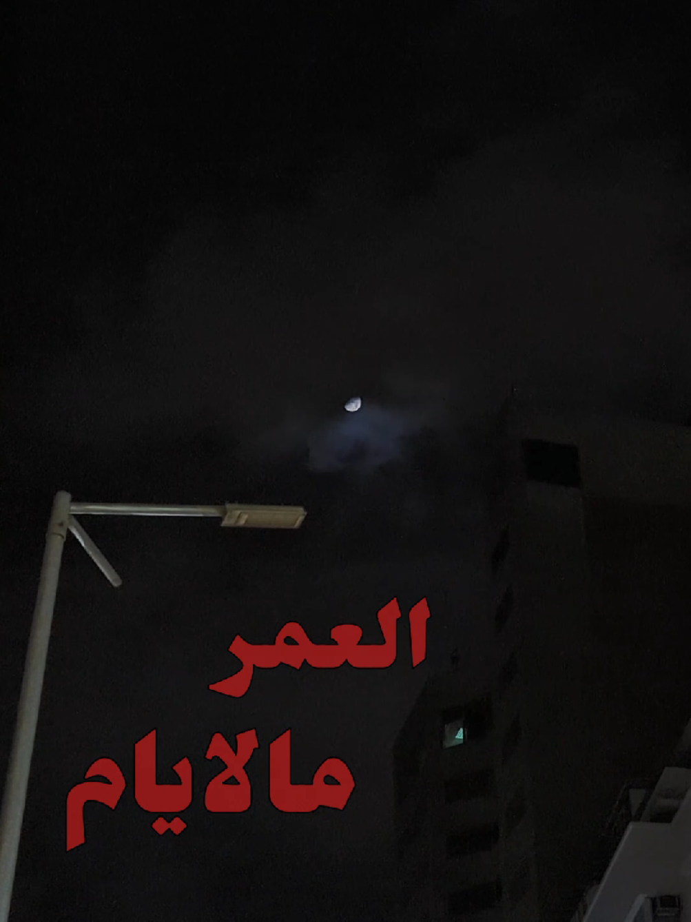 وكل شئ بينسرق مني في الحياة بغمضة عين.. #videography #photography #تصوير #fyp #fypage 