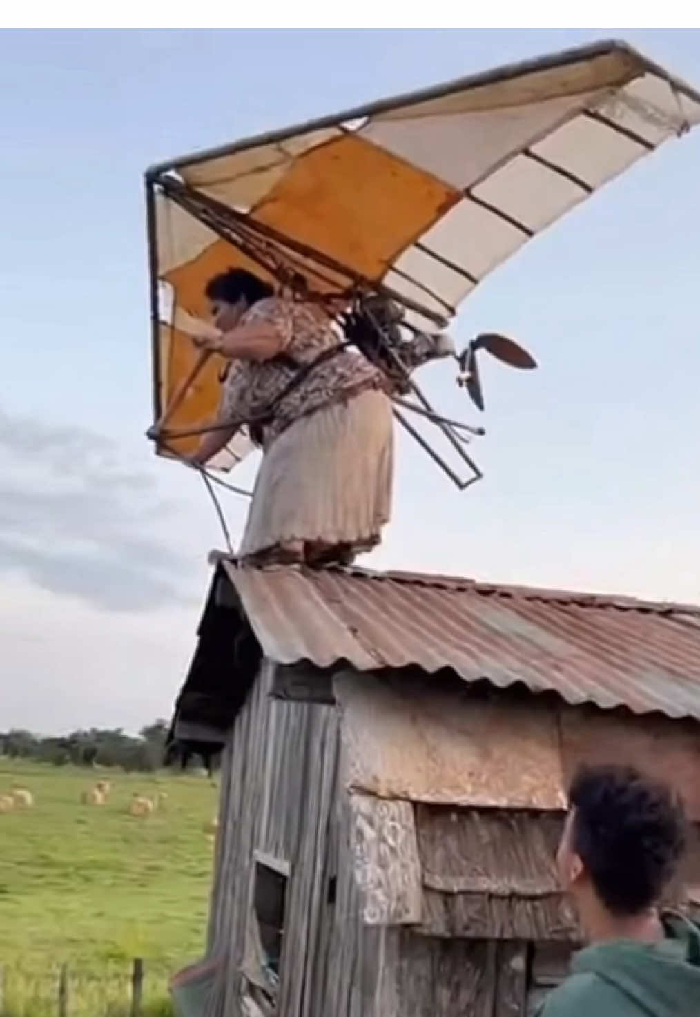 Tentativa do primeiro voo experimental.. #vidanaroça #rotinadeinterior #momentosdointerior #humordaroça #tentativadevoo