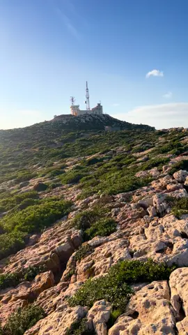 #elhaouaria🇹🇳 #nabeul #tunisia #algeria #الشعب_الصيني_ماله_حل😂😂 