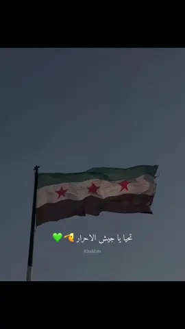 #مجمل الانشوده#💚✌️ 