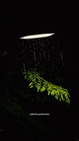 por que que você tá correndo... #reflexao #conselhos #viral 