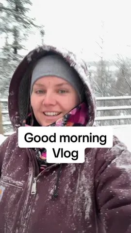 Good morning! ❄️ we’ve been out playing in snow - it makes the chores more fun 😆 tonight’s family night - Pictionary, the whole community is invited! #alaska #stbernard #alaskatok #snowday #snowfall 