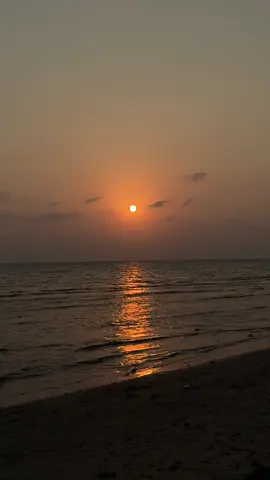 #لايك__explore___ #تيك_توك #ترند #اكسبلور #flypシ #cats 