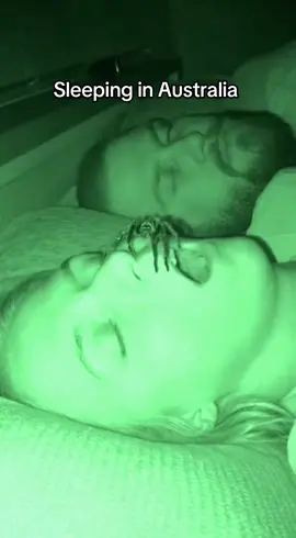 Always close your windows. #fyp #spider #sleep 