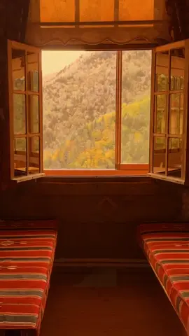 صرنه بالديوان وابن زياد كام😔.. #تراث #التراث_الحسيني #جاسم_النويني #fyp 