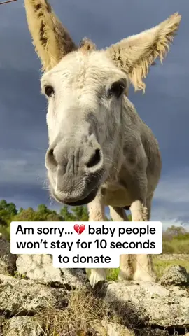 Your help is our hope #usa #unitedstates #usa_tiktok #usadonkey🇺🇸 #washington 