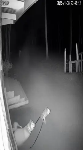 #ผีหลอก #fyp #เรื่องนี้ต้องดู #santelmo #ai 