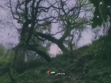 #حمص #سوريا🇸🇾 #fyp 