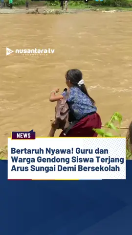 Sebuah rekaman video menunjukkan dedikasi luar biasa para siswa dan guru di Desa Bobo, Kecamatan Obi Selatan, Maluku Utara.  Untuk menuju sekolah, mereka setiap hari harus menghadapi risiko besar dengan menyeberangi dua sungai deras, yaitu Sungai Gosora dan Sungai Peda, karena tidak adanya jembatan.  Dalam upaya menaklukkan arus, para guru dan warga setempat bahu-membahu menggendong anak-anak. Meskipun nyawa menjadi taruhan, semangat mereka untuk belajar tidak pernah padam; mereka tetap berangkat dengan penuh keberanian dan harapan. -------------------------------------------- NRF #aksiheroik #guru #malukuutara #sungai #sekolah 