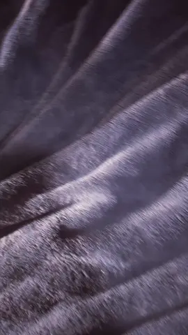 eepy #catsoftiktok #fyp 