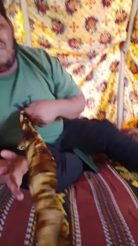 #سبها_ليبيا_الجنوب_الليبي  #سبها_ليبيا_الجنوب_الليبي_طرابلس_بنغازي  #رالي_تي_تي_الصحراوي_بودان 