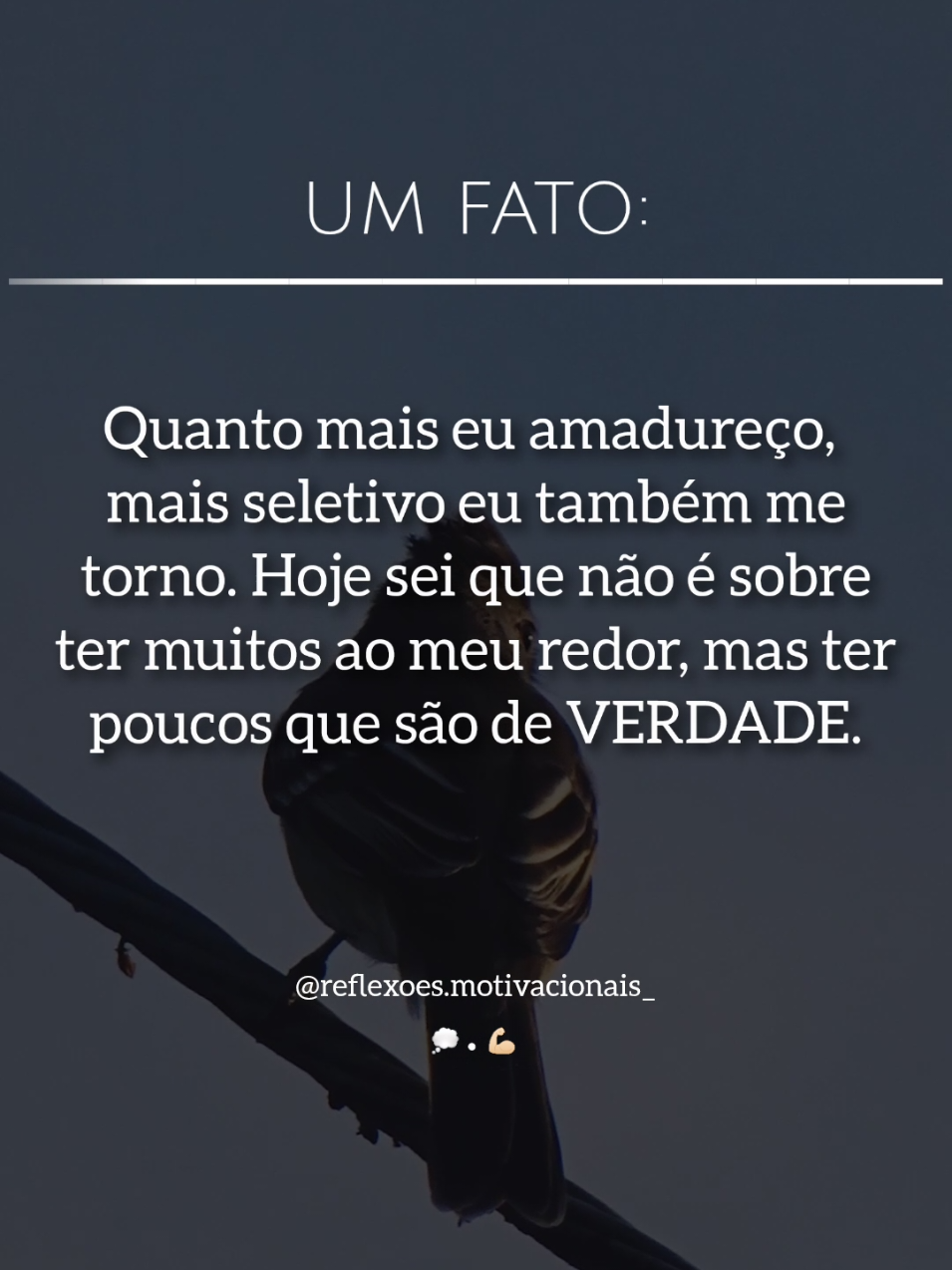 Faz sentido pra você? 💭 #creatorsearchinsights #reflexão #reflexaododia #frasesmotivadoras #evolucaopessoal 