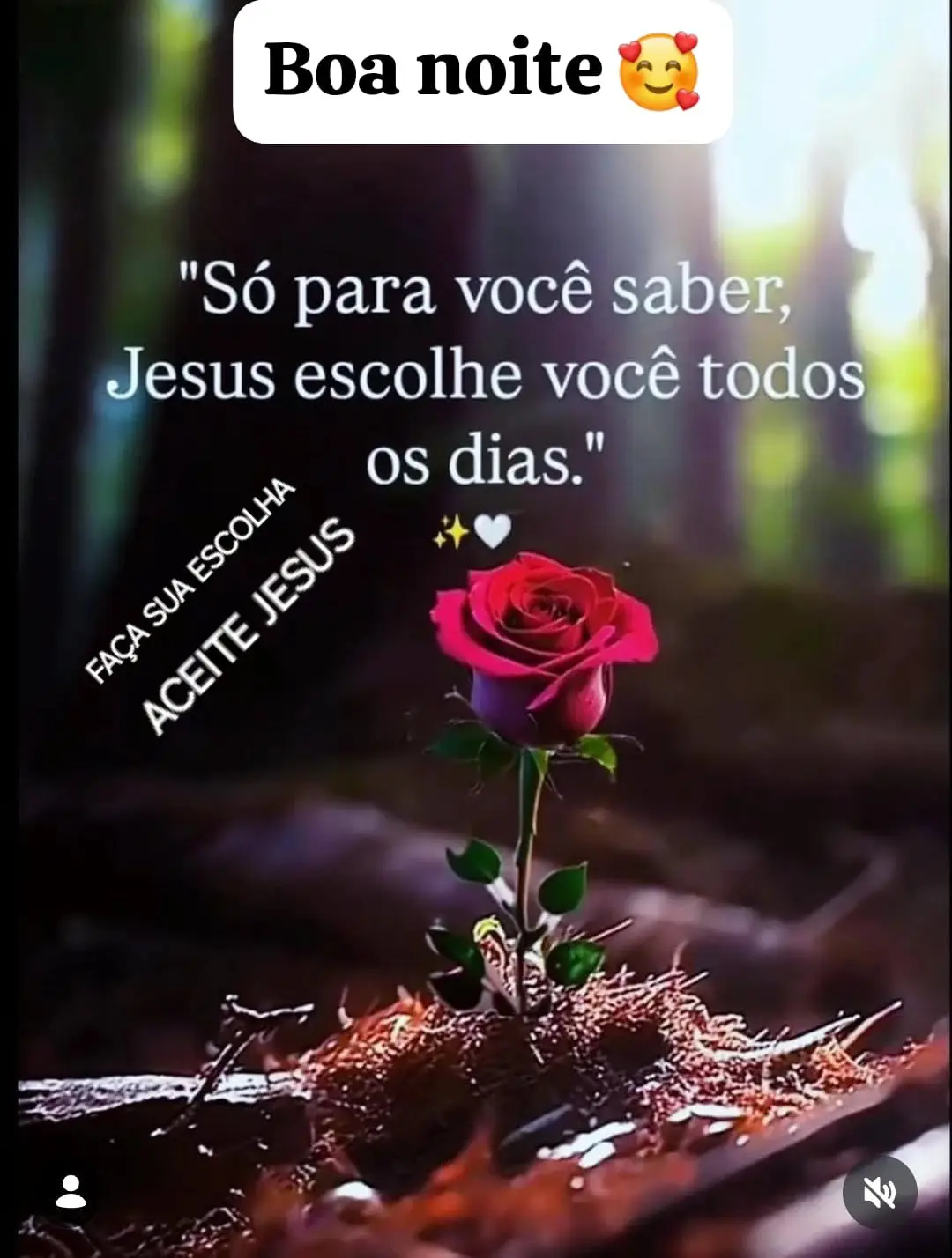 Boa noite Amigos, Deus te abençoe, te guarde, onde você estiver, como estiver, Deus é teu escudo !! 
