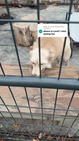 Replying to @Lorrie Roberts915 here she is! 