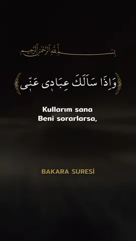 # حسبنا الله ونعم الوكيل #الحمد الله ولا حول ولاقوة الابالله العلي العظيم استغفر الله العظيم. عَلَى سيدنا محمد وآل على سيدنا محمد وعلى آله وصحبه أجمعين صل الله عليه وسلم. عليه افضل الصلاةوالسلام ##