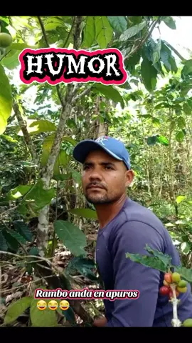 Rambo en apuros #pyfツ  #humor 