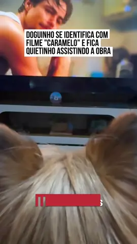 🦴🐶 Os #cães também querem se representados nas mídias audiovisuais e recentemente, o #pet da Carla teve a chance de assistir ao novo filme da plataforma de #streaming Netlix, 