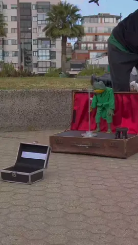 ranita cantora 🎙️🎙️  IG:@sasori_marionetas #viñadelmar #leonardofavio #marioneta #rana #arte 