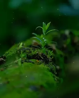 🌻 #janganlupabersyukur🍂 