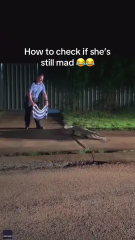 I was just checking 😑 #wifeandhusband #couplestok #fypシ゚viral #shemad #marriedlife 