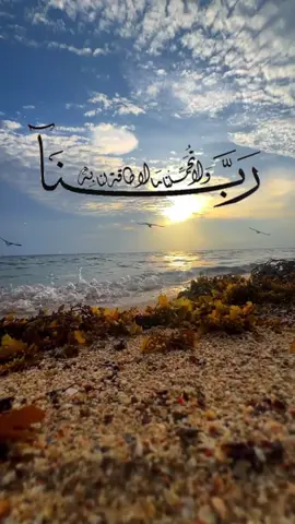 #في هذا اليوم 