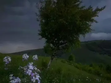 🤍 #قران_كريم #viral #المنشاوي 