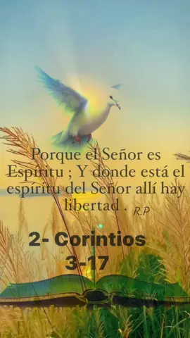 #catsoftiktok #catrachaaguilar2tiktok #LIVEIncentiveProgram #happyholidays 