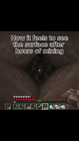 I love Minecraft #fyp #Minecraft #gaming 