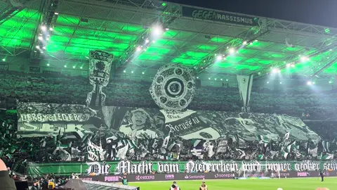 #borussiamönchengladbach ##borussiapark #ultras #bundesliga #bundesligatiktok 