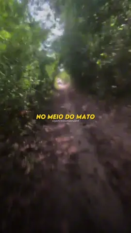 14/11‼️ MEU AMOR TÔ EM APUROS 💭🤴