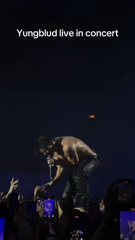 #yungblud @yungblud #concert #hamburg 