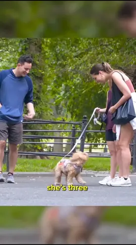 farting on dog 🐕 ooh hhhhhhhhhh 🤣 🤣 🤣 🤣  #fartprank #farts #funny #funnyvideos #funnytiktok 