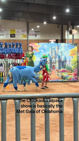 This was the best thing I’ve done this year. 🦙#alpaca #gradycounty #alpacacostume #chickashaoklahoma #fyp 