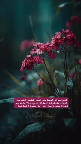 #اللهم العوض الجميل بعد الصّبر الطويل، اللهم جبرا لقلوبنا واستجابة لدعائنا، اللهمّ دربا لا تضيق به الحياة، وقلبًا لا يزول منه الأمل، وفرحة لا تذبل أبدا.. #اقتباسات_خواطر_عبارات #ميما🇸🇦  #اكسبلورexplore 