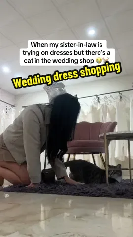 I came for wedding dress shopping and stayed for the cat 🐾💍  