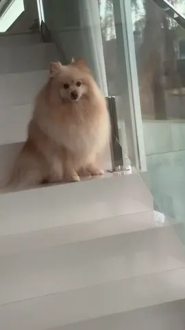 Video aleatório 2 kkkkkkk 😂😘🤩 . . . .  #viral #videoaleatorio #humor #rotina 