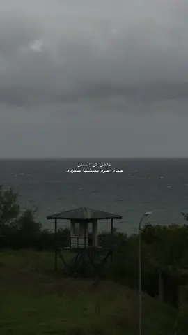 داخل كل إنسان حياة اخرة يعيشها بمفرده #❤️‍🩹