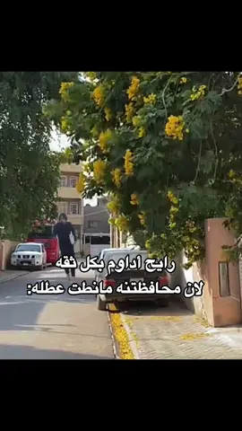 كتبتها بصيغة ولد حتى ترهم للاثنين😀🗿💔 نشرت نوب عن المدرسه شوفوا بالحساب +اني ماداوم بس هيج رياكشن ومحتوى 🤡#عطله #انتخابات #العراق #لايكات #fypシ゚ 