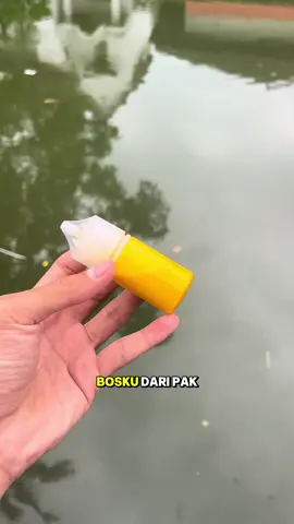 Testimoni essen jagung bakar susu sereh dari pakbos fajar  #raja7mancing #UmpanJitu #harianikanmas #umpanlombaikanmas #galatama 