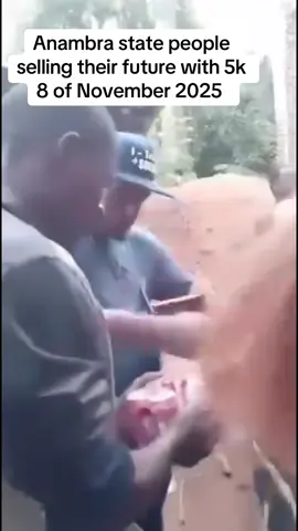 #tamarapreyenews #naijanews #politics 