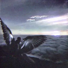 ليت عيني لا تراك  #اللهم_صل_على_محمد_وآل_محمد  #قصائد  #باسم_الكربلائي 