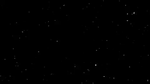 يا أهبل رايح وين😹؟#ام_الحسن#fyp #foryou #movie #قصائد_حسينيه 