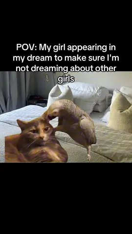 identifiable😂? #relatable #girlfriend #boyfriend #fyp #viralvideo 