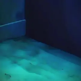 Sorry for not posting I’ve been busy#Shu #shusakamaki #DiabolikLovers #diabolikloversedit #fypシ 