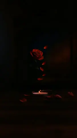 video acompañado de hermosas canciones 