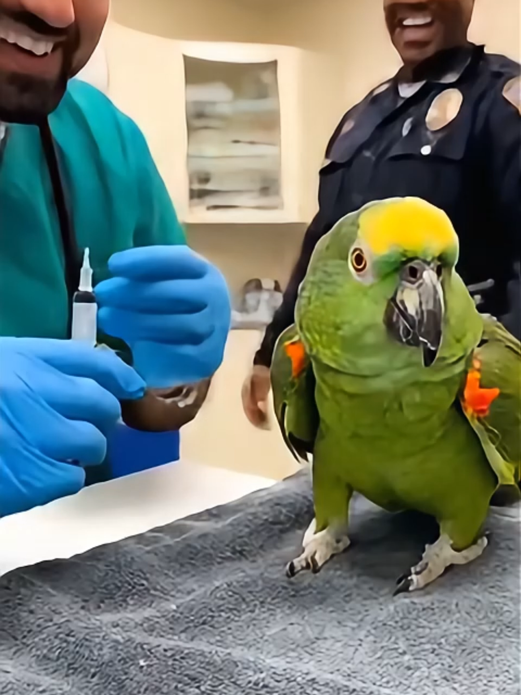 🦜 “A million?! And you’re STILL not good at it?!” 💉😂 This parrot roasted the vet so hard, even the cop was crying. #ShockLens #TalkingParrot #SavageParrot #FunnyAnimals #VetComedy #AnimalHumor #BirdComedy #AIComedy #FunnyVideo #ViralShorts