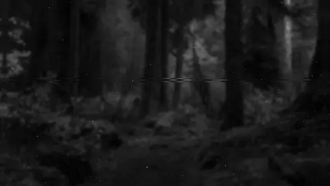 أستغفرُ الله 🤍   -  -  القارئ | سعد ازويت   سورة | نوح ـــــــــــــــــــــــــــــــــــــــــــــــــــــــــــــــــــــــــــــــــــــــ #القران_الكريم  #سورة_نوح  #قران #quran #ارح_سمعك_بالقران 