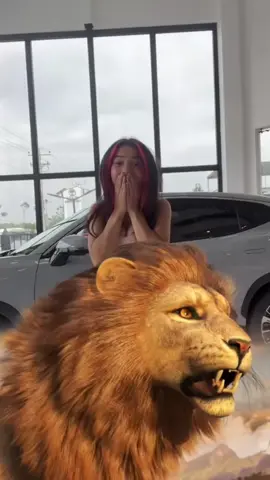 Mis primeros🦁🦁🦁gracias a @🫧Alex🫧 el propiooo😝🩷🩷#fyp #leon #tiktoklive 