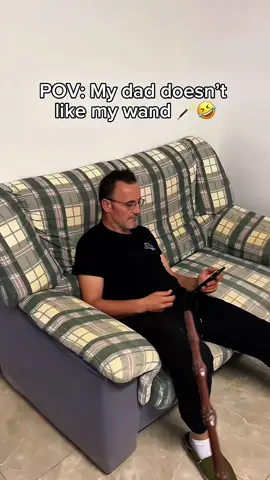 The snapped it in half😭🙏 #harrypotter #magicwand #christmas #giftidea #harrypotterwand 