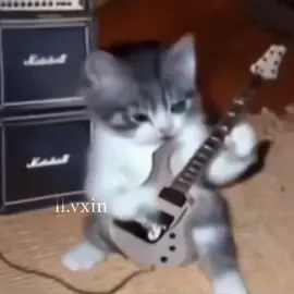 #الشعب_الصيني_ماله_حل😂😂 🙋